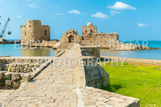 A trip to Sidon Lebanon south