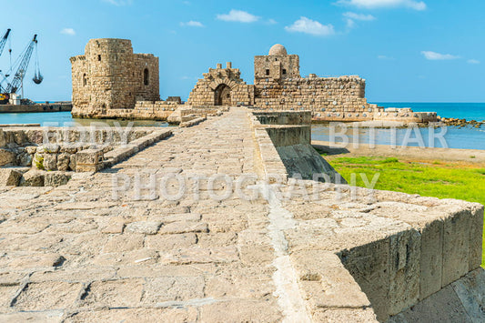 A trip to Sidon Lebanon south