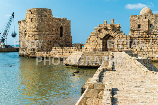 A trip to Sidon Lebanon south