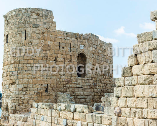 A trip to Sidon Lebanon south