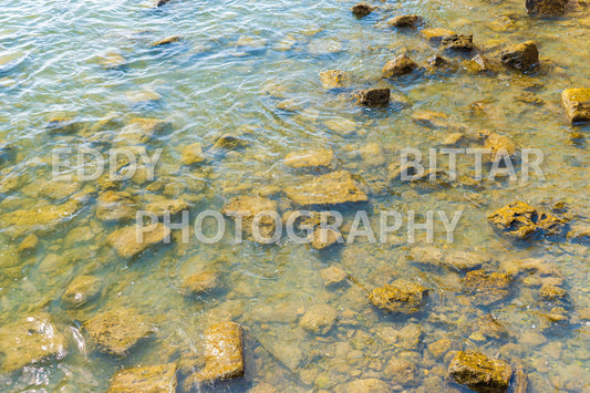 A trip to Sidon Lebanon south