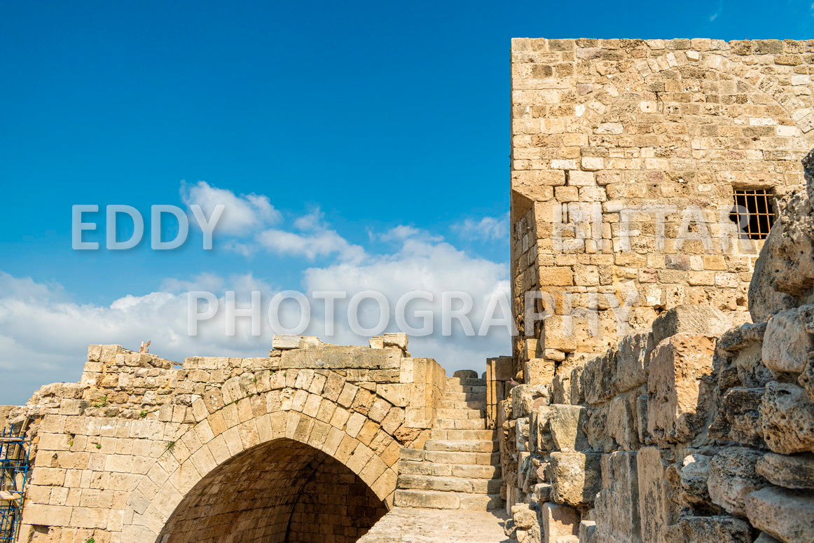 A trip to Sidon Lebanon south