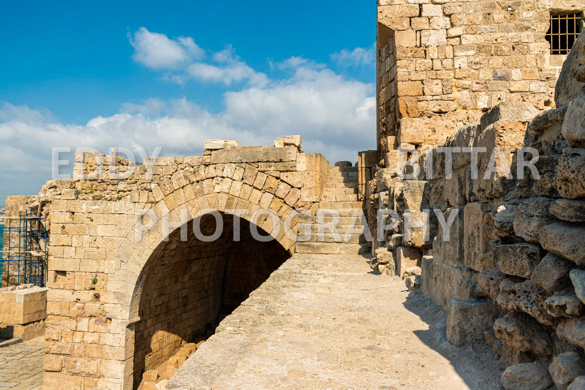 A trip to Sidon Lebanon south