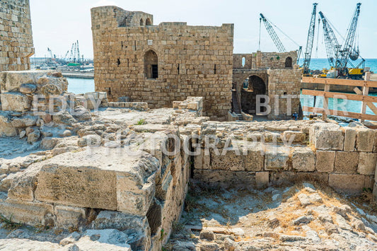 A trip to Sidon Lebanon south