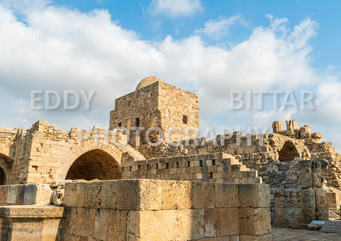 A trip to Sidon Lebanon south