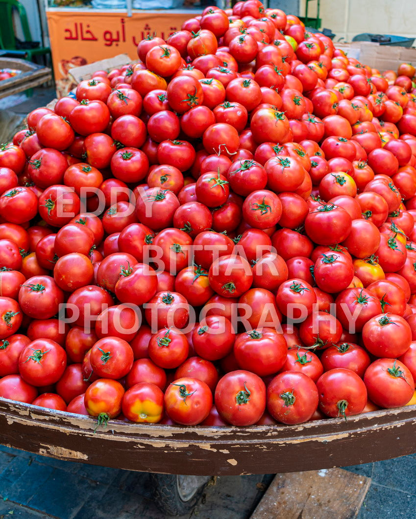 A trip to Sidon Lebanon south