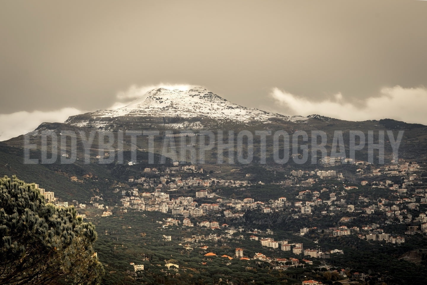 El hermoso paisaje de Daher El Baydar