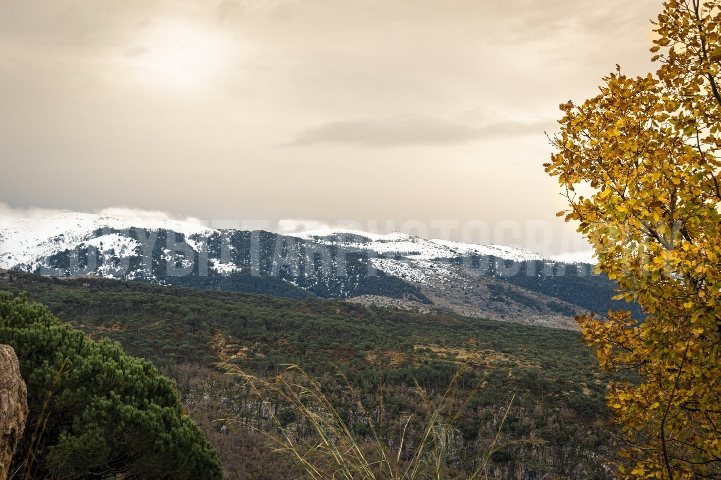 Barouk Peaks 9