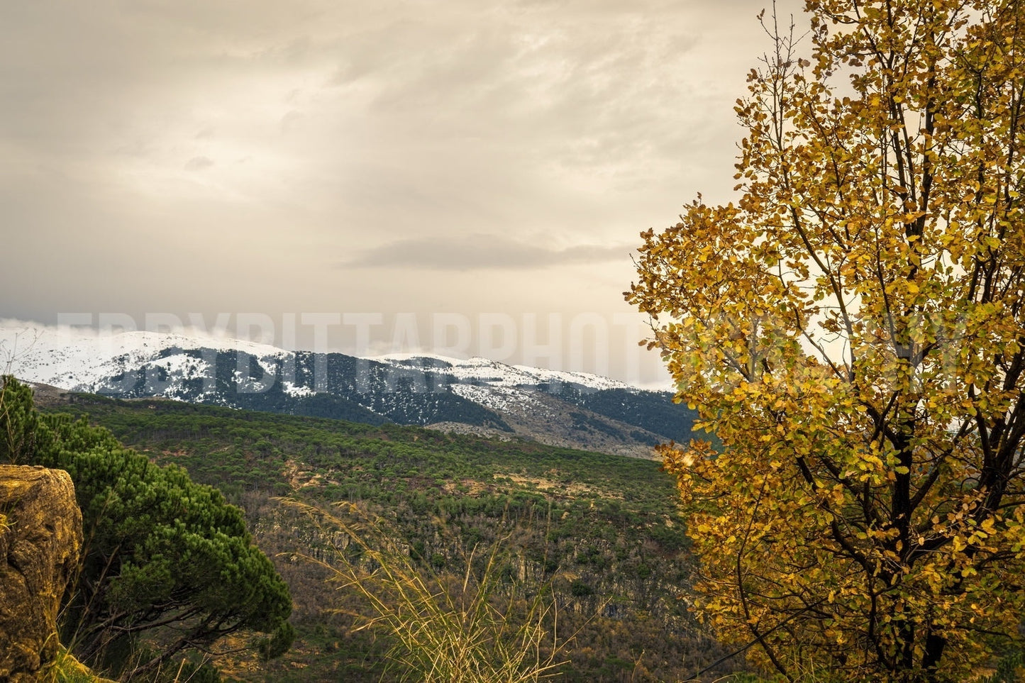 Picos de Barouk 10