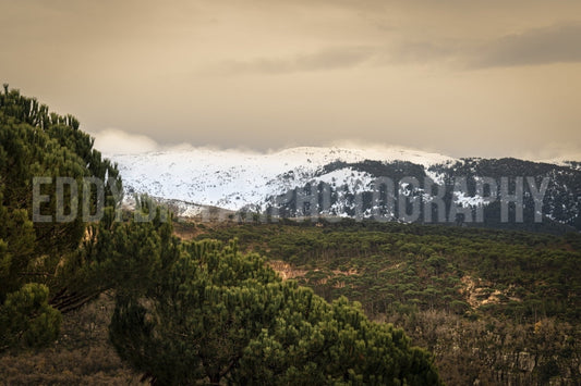 Barouk Peaks 13