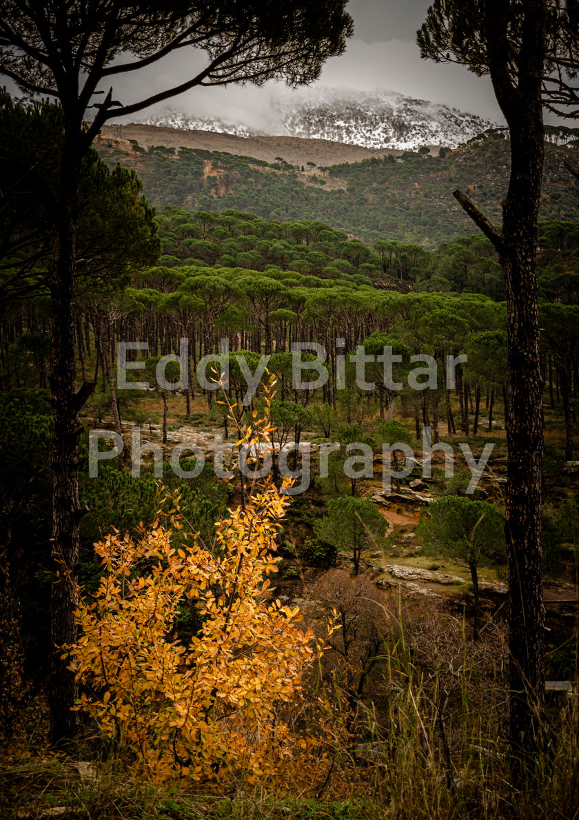 Barouk Peaks