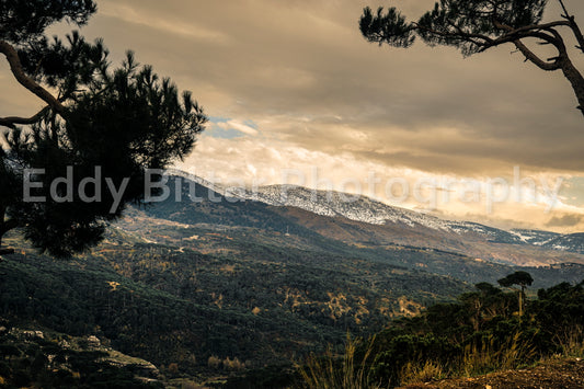 Chouf Peaks