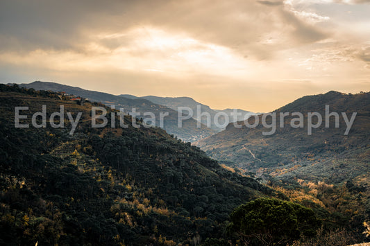 Chouf Peaks