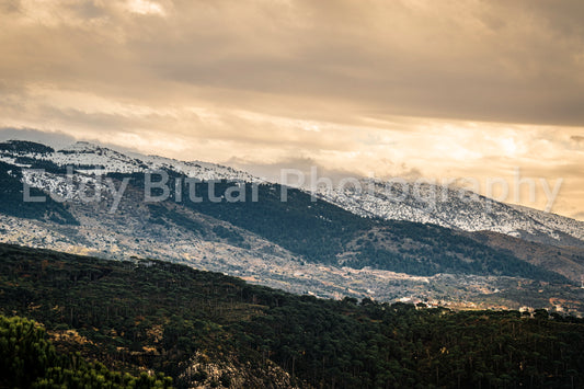 Chouf Peaks