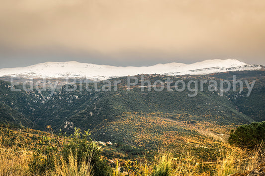 Chouf Peaks