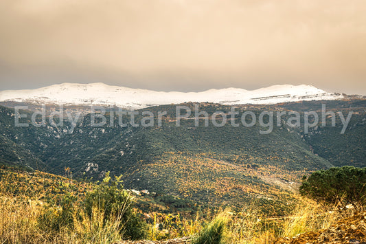 Chouf Peaks