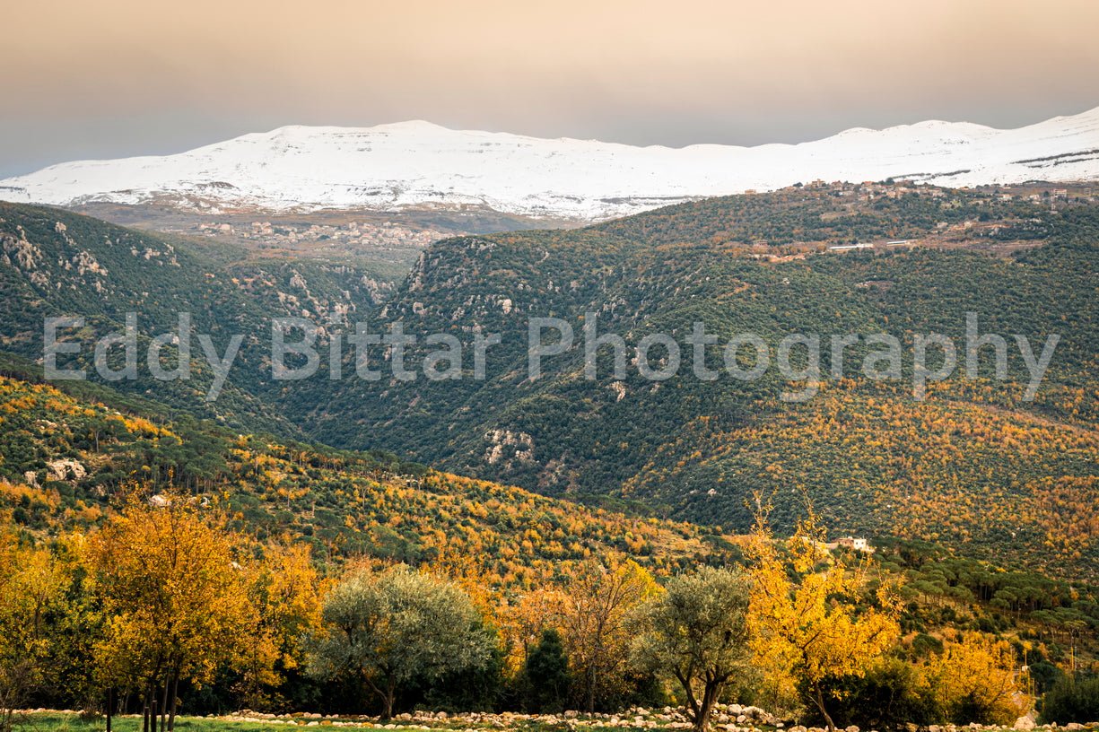 Chouf Peaks