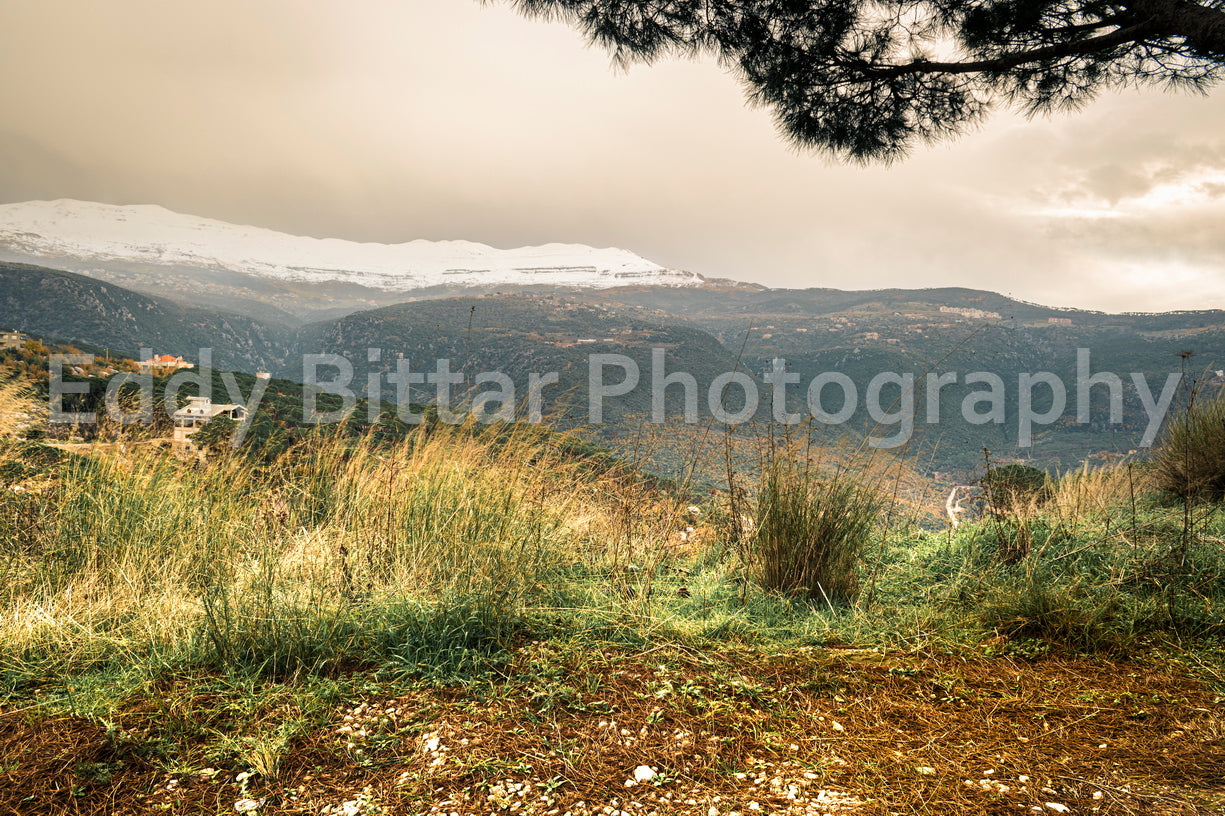 Chouf Peaks