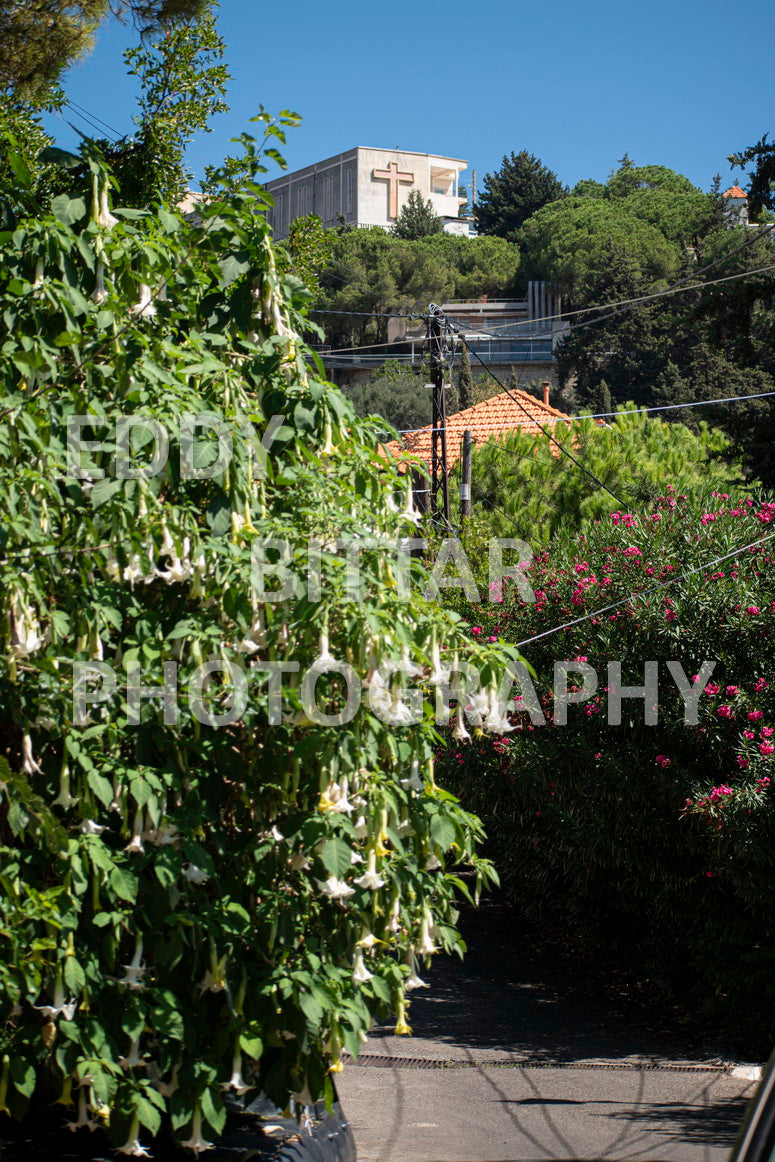 Photographing Deir El Qamar