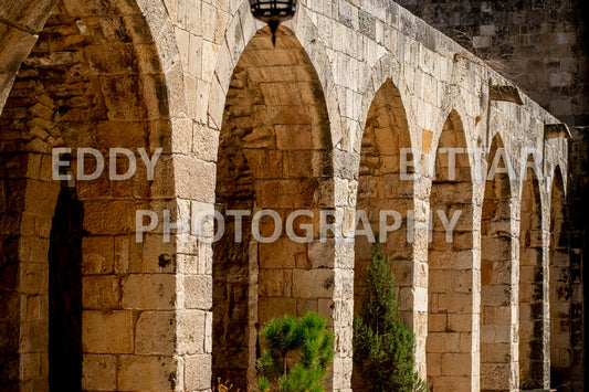 Photographing Deir El Qamar