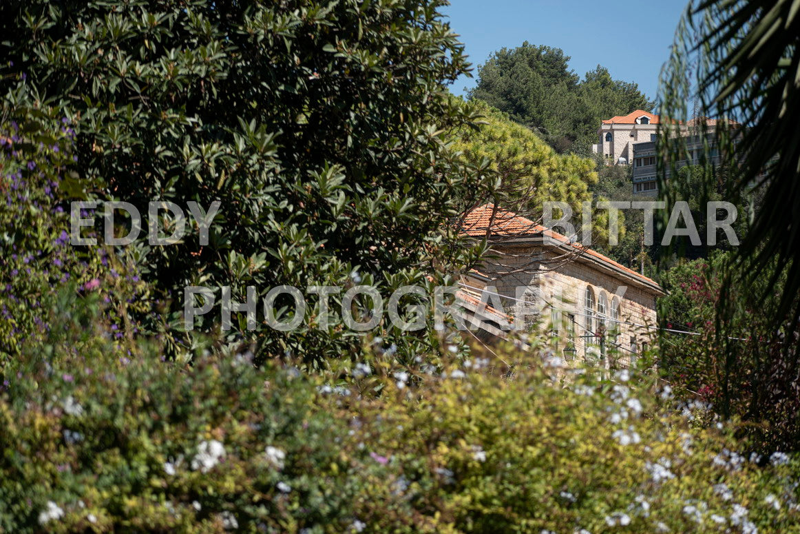 Photographing Deir El Qamar