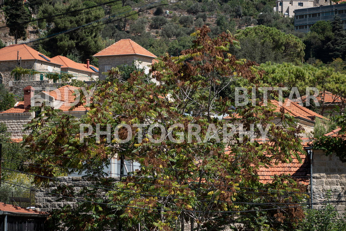 Photographing Deir El Qamar