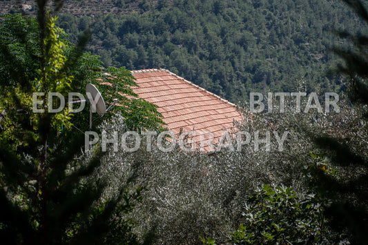 Photographing Deir El Qamar