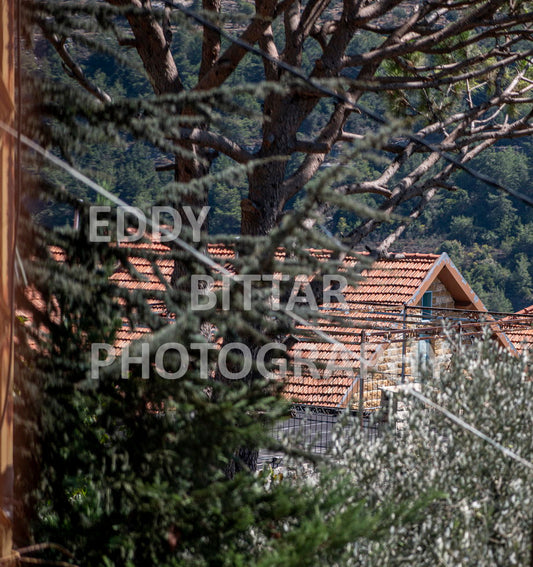 Photographing Deir El Qamar