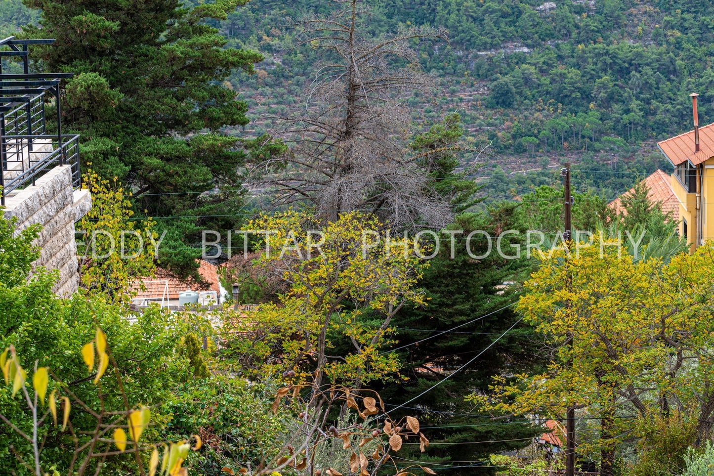 Deir El Qamar's picturesque rural landscape