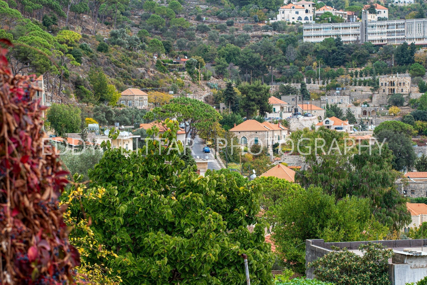 Lovely Deir El Qamar