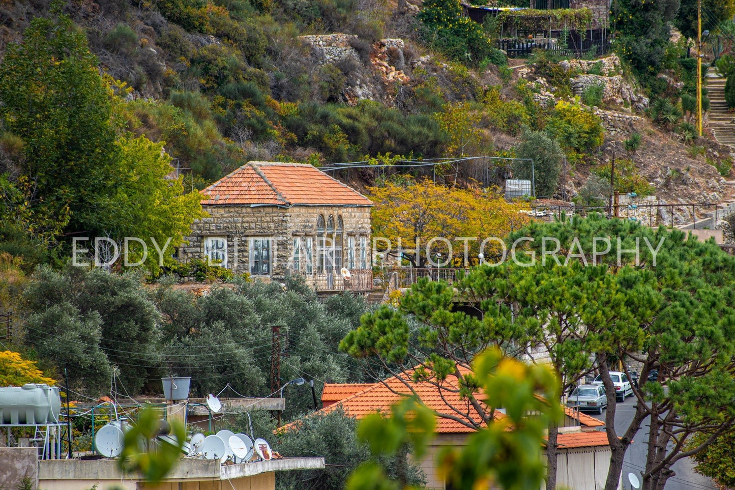 Lovely Nature and houses of Deir El Qamar