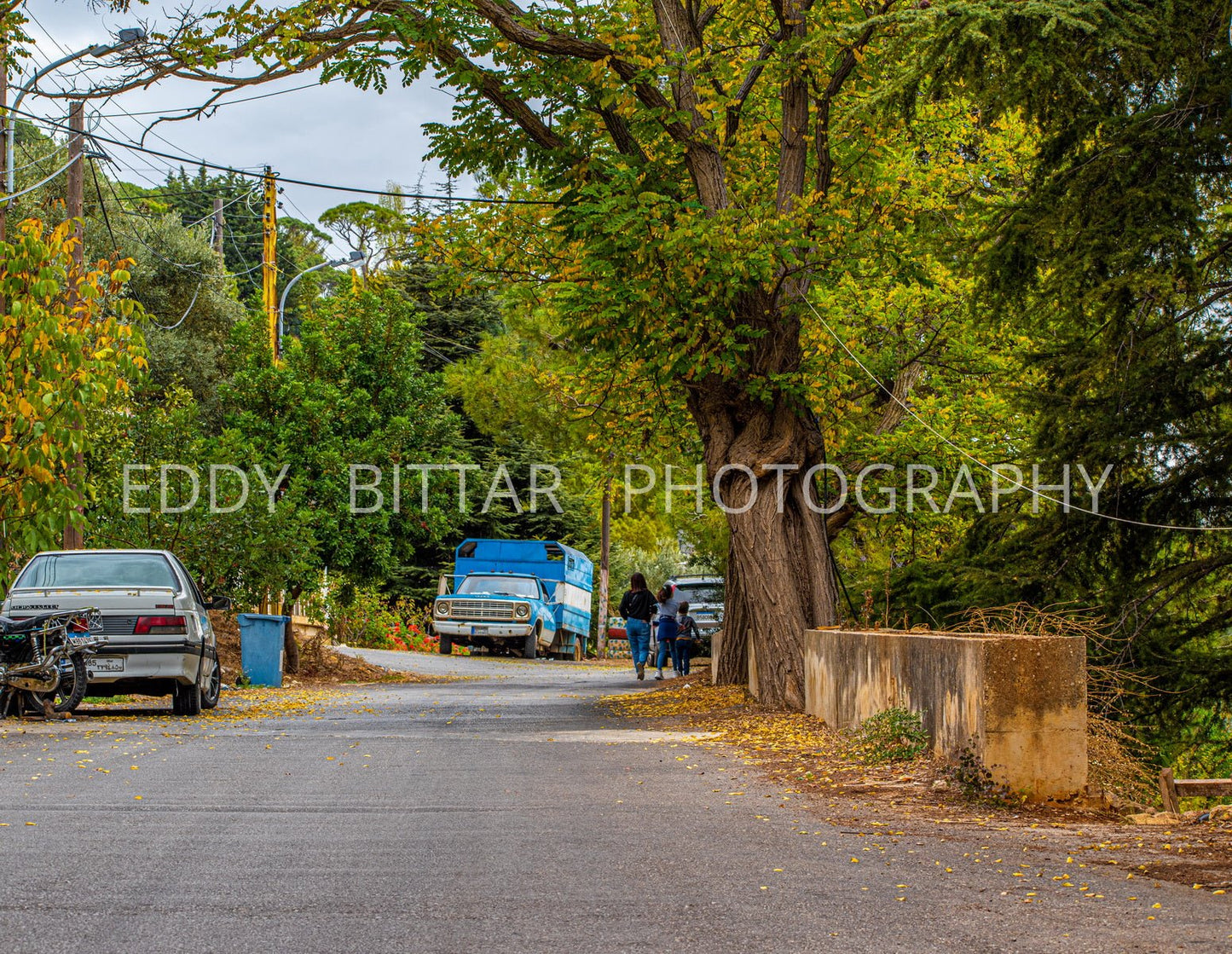 Deir El Qamar's rural road