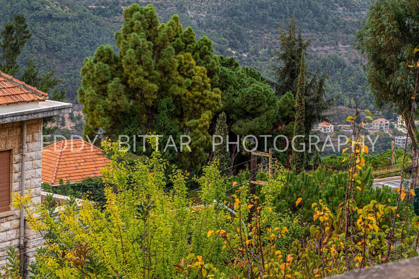 Iconic Photos of Deir El Qamar