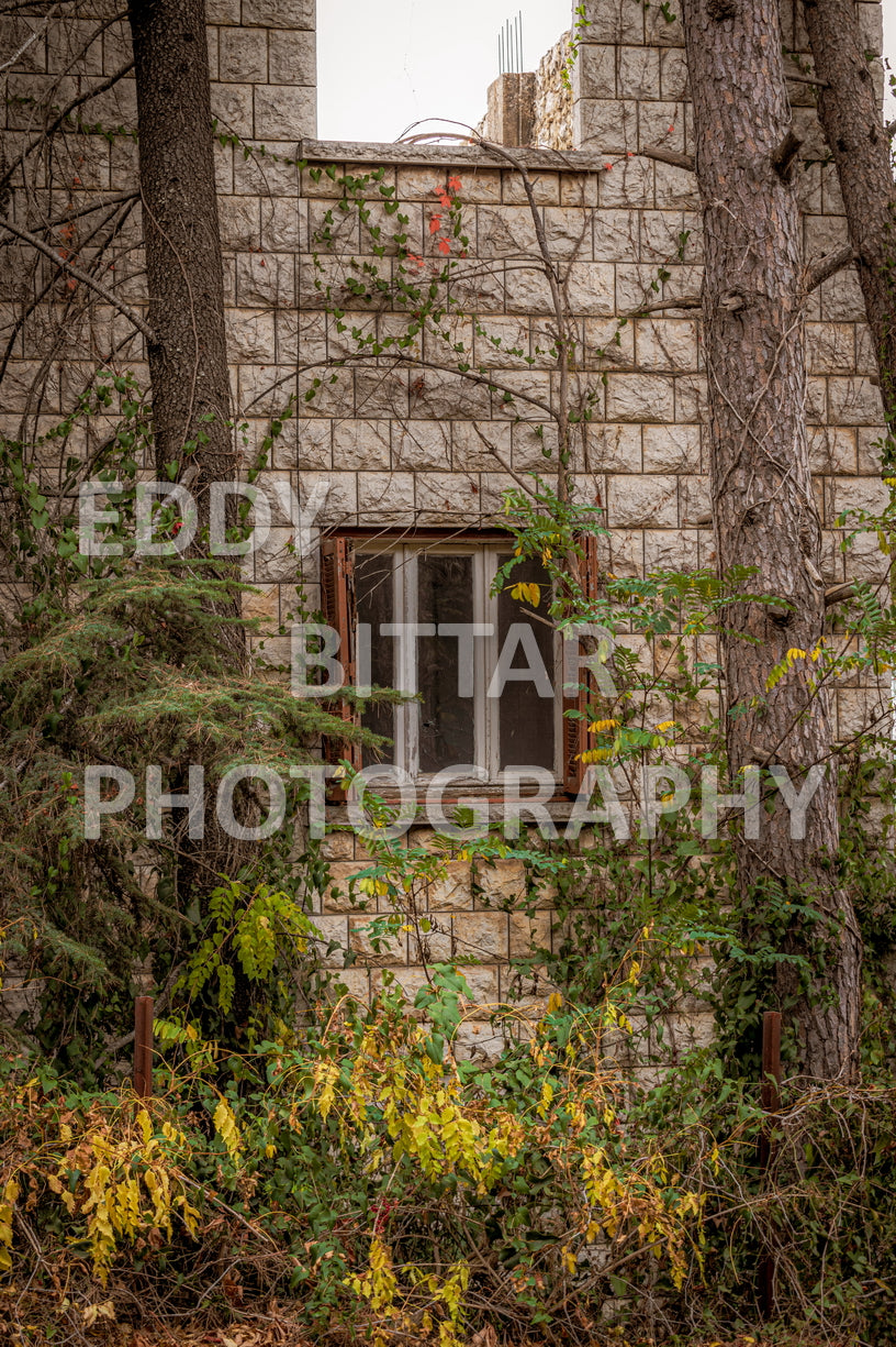 Iconic Photos of Deir El Qamar