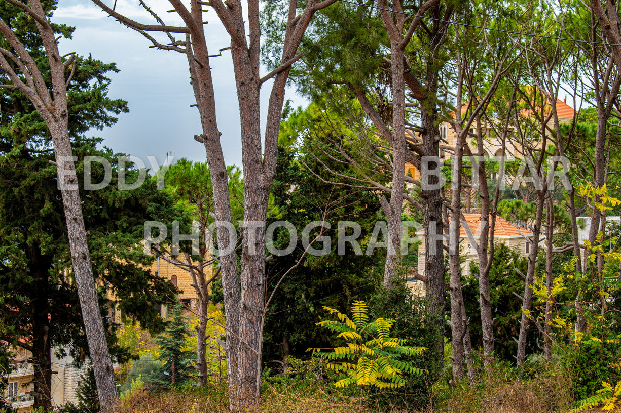 Iconic Photos of Deir El Qamar