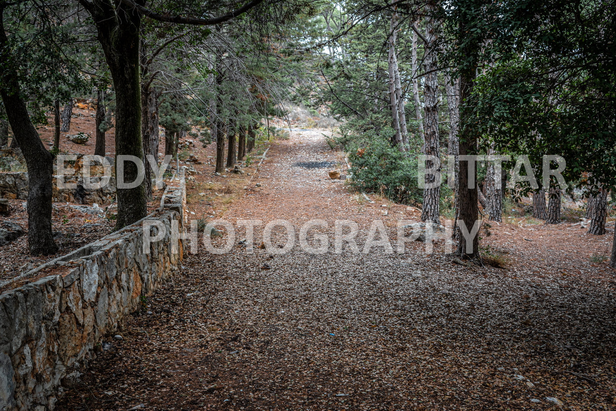 Iconic Photos of Deir El Qamar