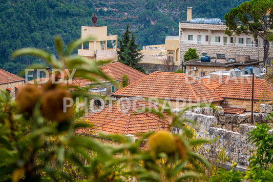 Iconic Photos of Deir El Qamar