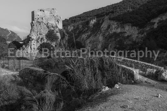 Batroun