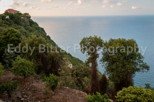 Batroun