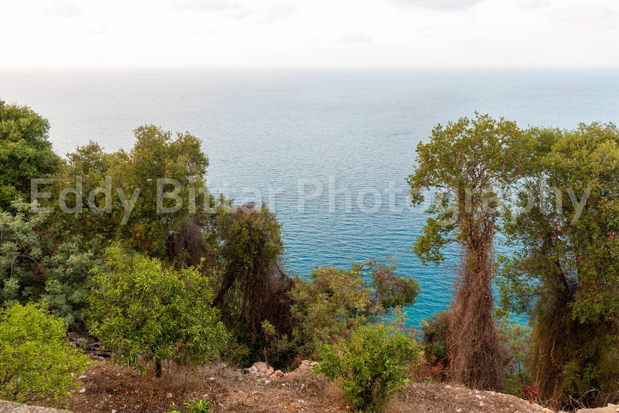 Batroun