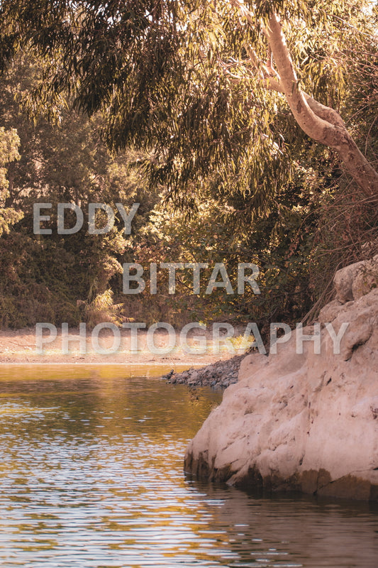 A journey to Lebanon's north