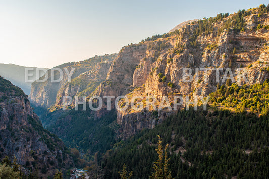 A journey to Lebanon's north