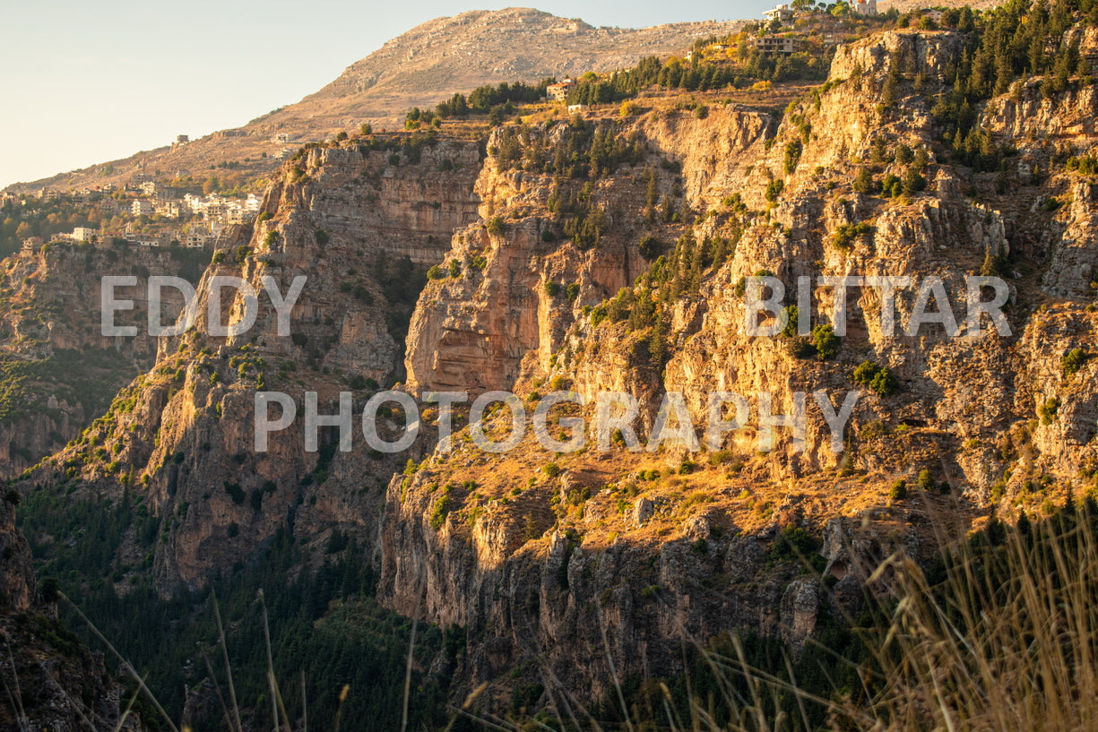 A journey to Lebanon's north