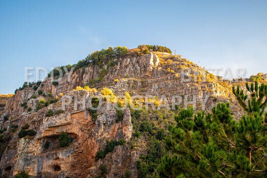 A journey to Lebanon's north