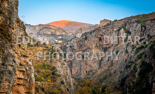 A journey to Lebanon's north