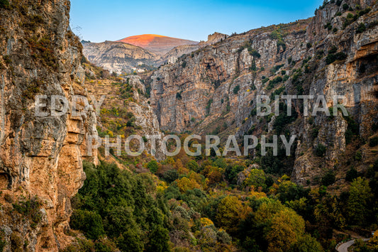 A journey to Lebanon's north