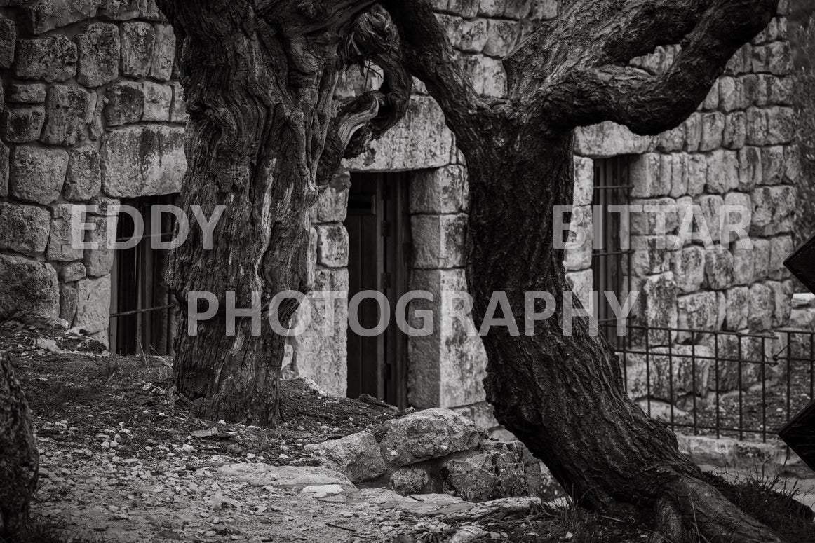 From Lehfid to Hardine (Batroun)