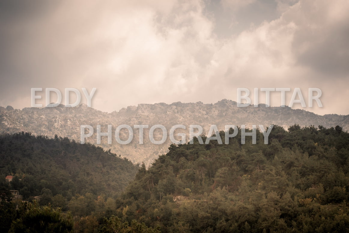 From Lehfid to Hardine (Batroun)