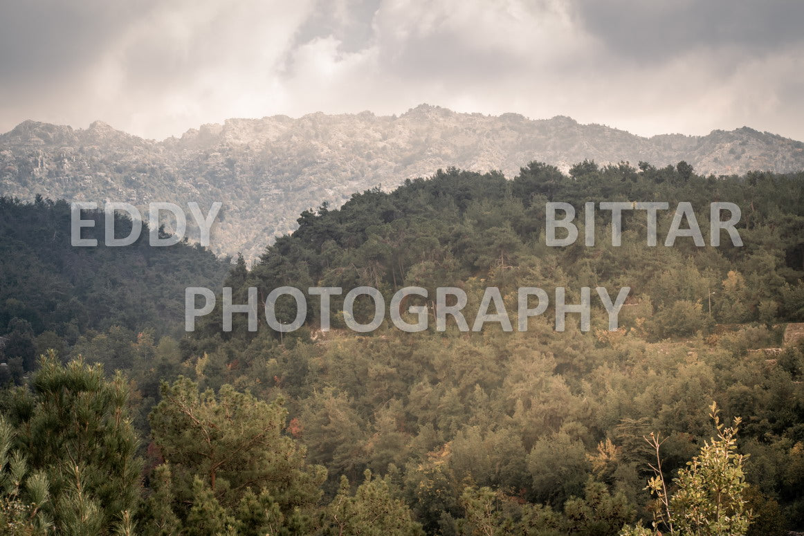 From Lehfid to Hardine (Batroun)