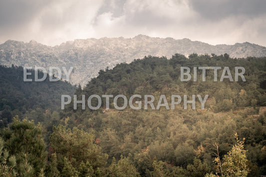 From Lehfid to Hardine (Batroun)